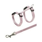 Szelki ze smyczą dla kociąt