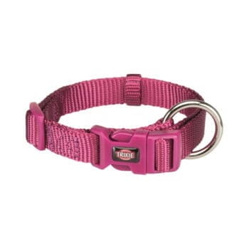 Fioletowa obroża Premium dla psa