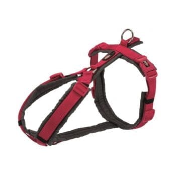 Szelki trekkingowe dla psa