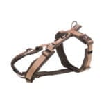 Szelki trekkingowe dla psa