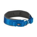 Niebieska broża dla psa