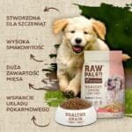 Karma sucha z łososiem dla szczeniaka