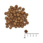 Karma sucha z łososiem dla szczeniaka