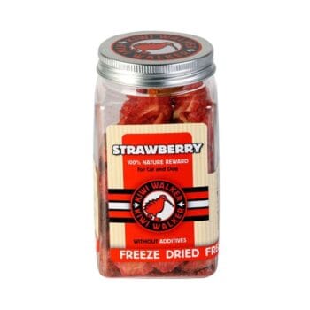 Suszone truskawki dla psa