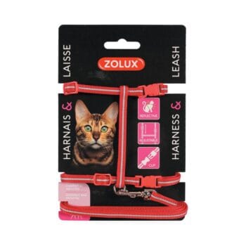 Szelki i smycz dla kota