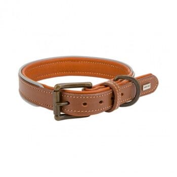 Brązowa obroża dla psa