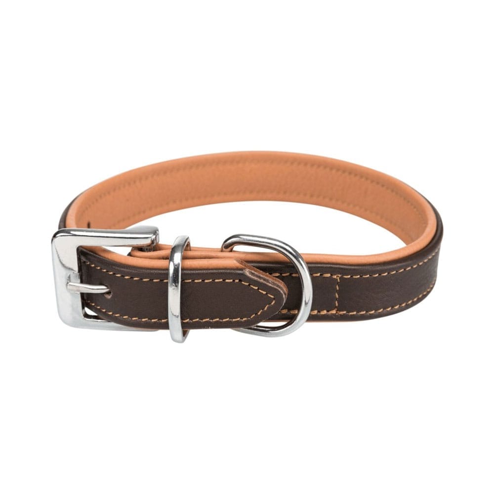 Brązowa obroża dla psa
