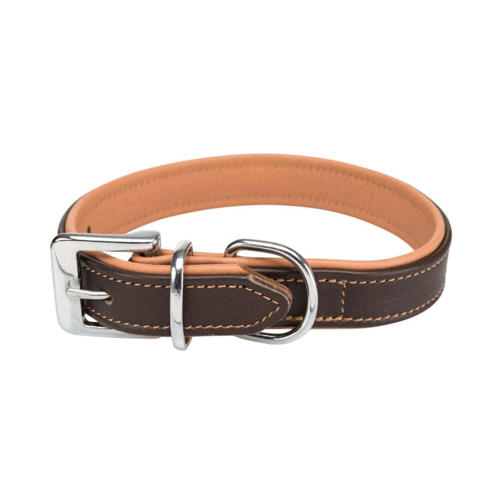 Brązowa obroża dla psa