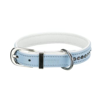 Niebieska obroża dla psa