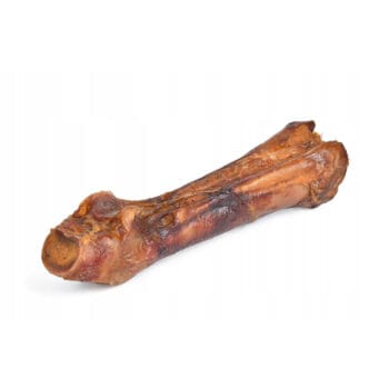 Stopa końska dla psa