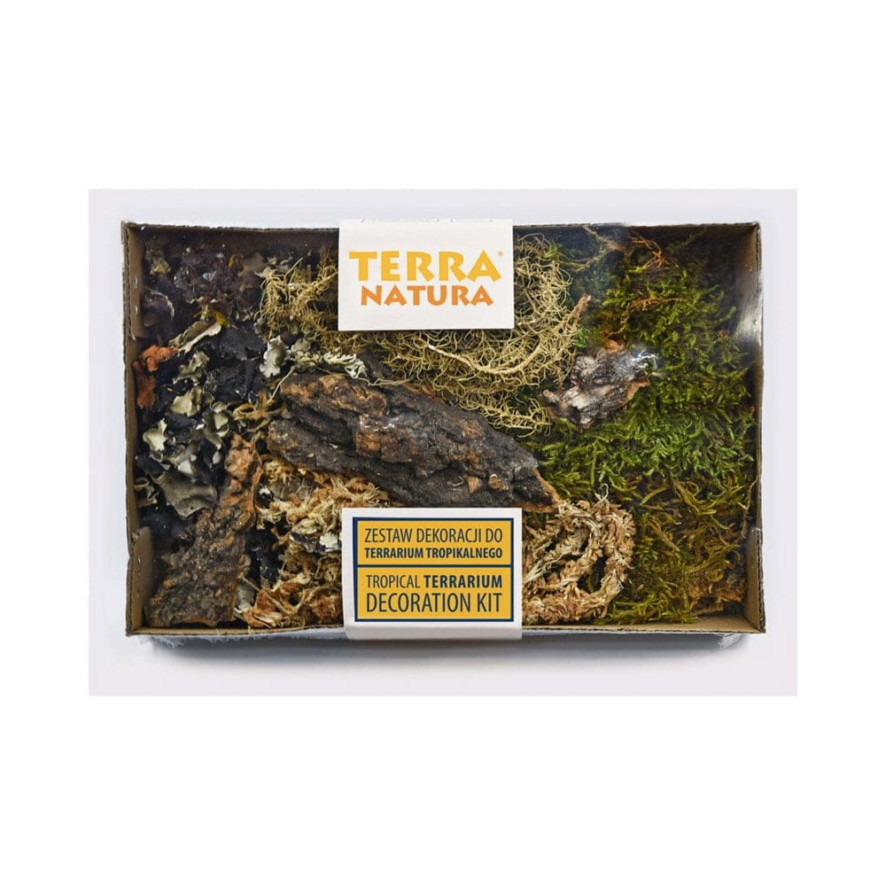 Zestaw dekoracji do terrarium tropikalnego