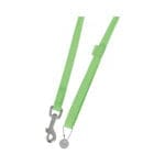 Zielona smycz dla psa