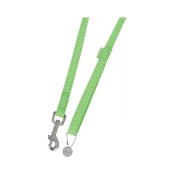 Zielona smycz dla psa