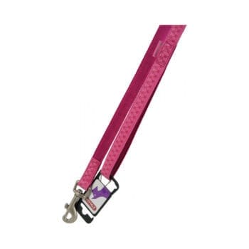 Różowa smycz dla psa