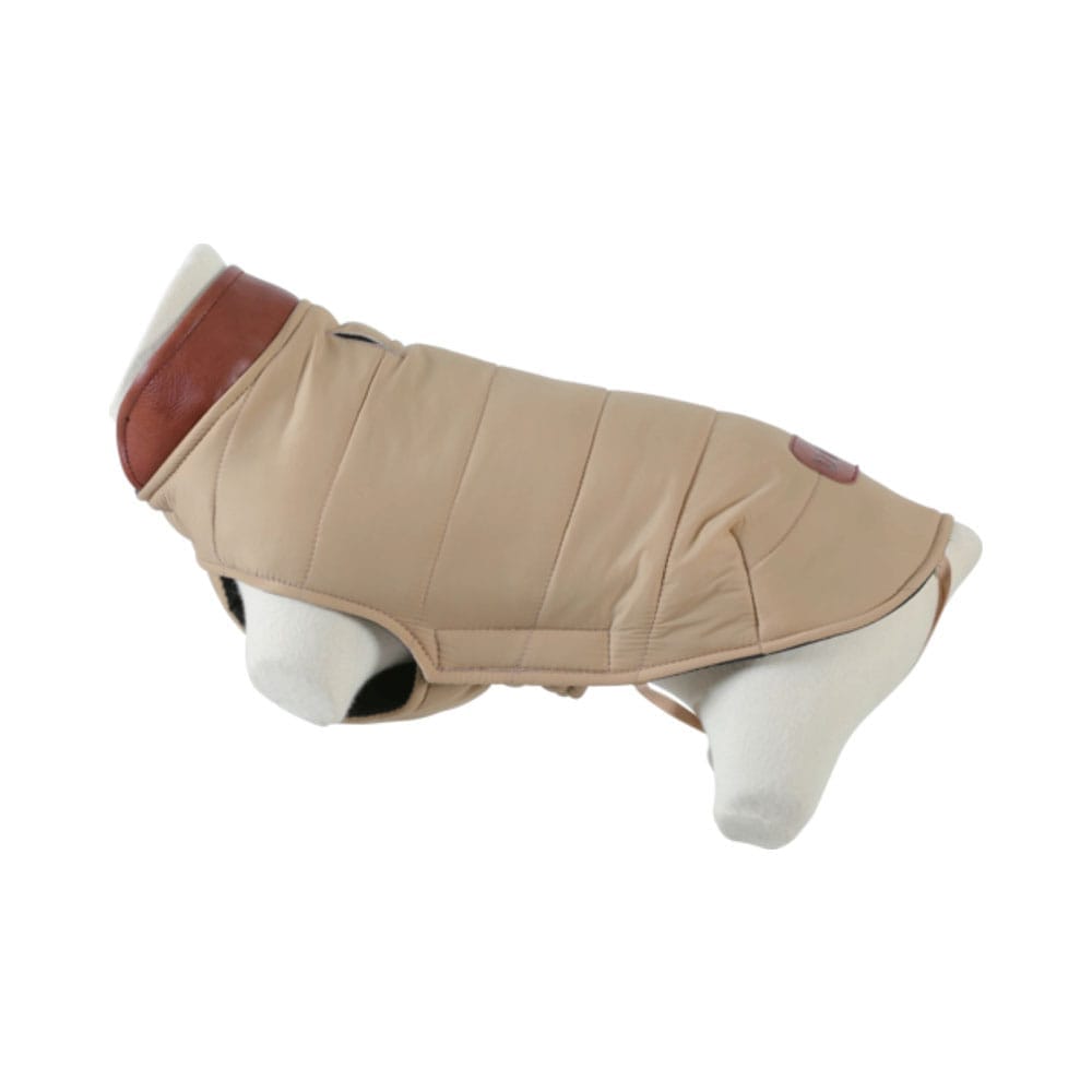 Manekin psa w kurtce puchowej