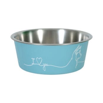 Niebieska miska dla psa