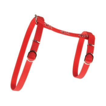 Czerwone szelki dla kota