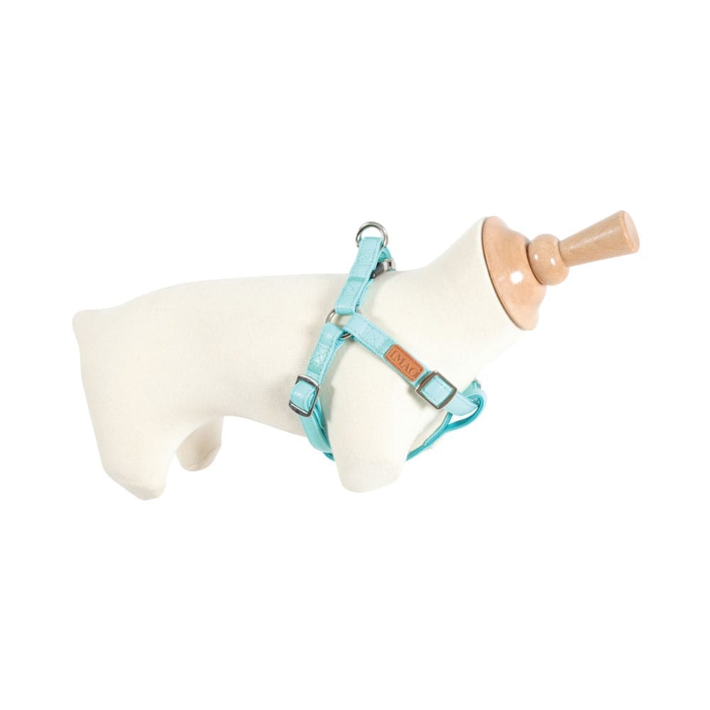 Turkusowe szelki na manekinie psa