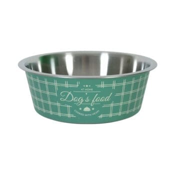 Zielona miska dla psa