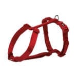 Czerwone szelki dla psa
