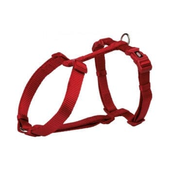 Czerwone szelki dla psa