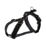 Czarne szelki dla psa