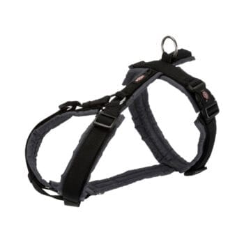 Czarne szelki dla psa