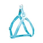 Turkusowe szelki dla psa