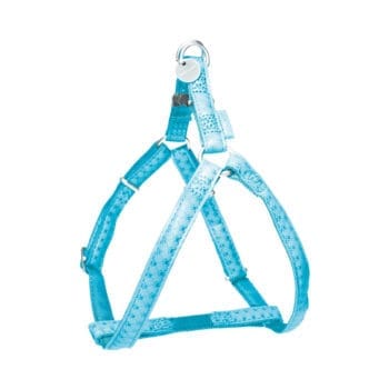 Turkusowe szelki dla psa