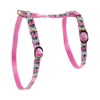 Różowe szelki dla kota