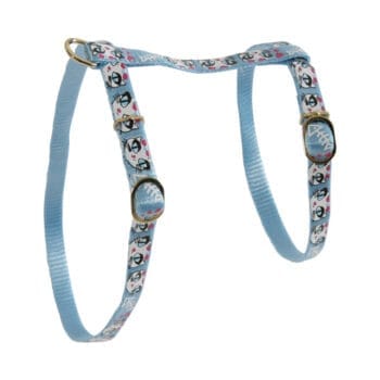 Niebieskie szelki dla kota