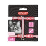 Czerwone szelki dla kota