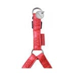 Czerwone szelki dla psa