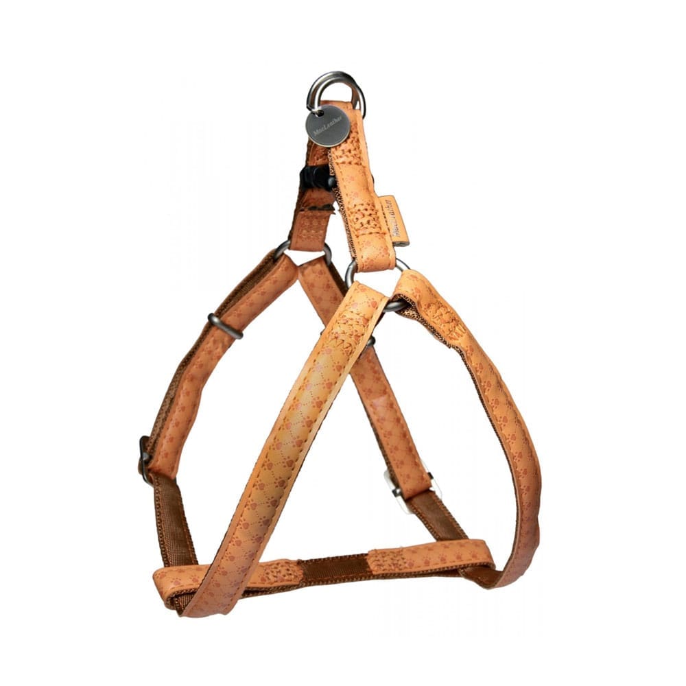 Żółte szelki dla psa