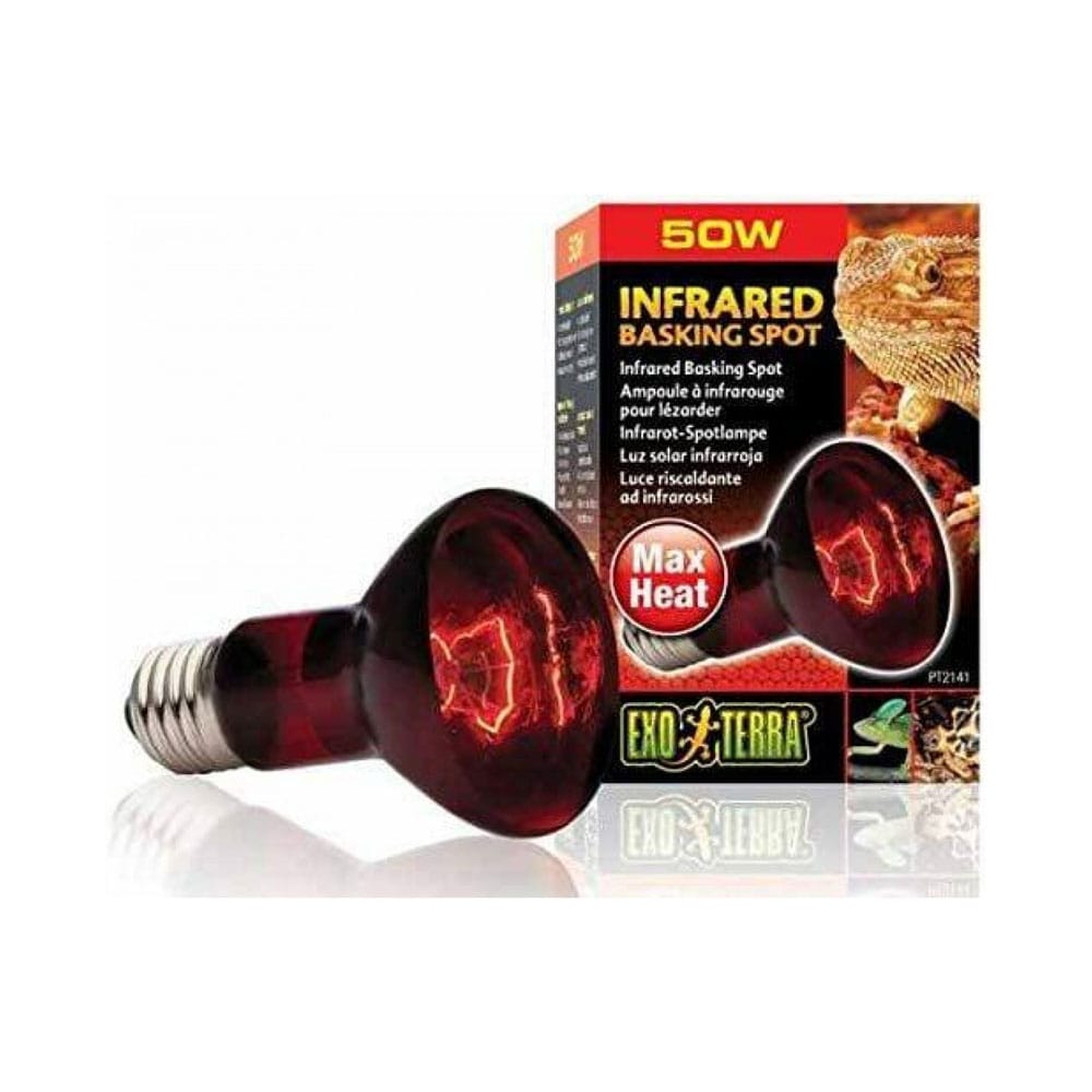 015561221412-1 Żarówka do terrarium