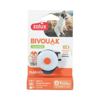 Świecąca zawieszka do obroży dla psa