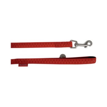Czerwona smycz dla psa