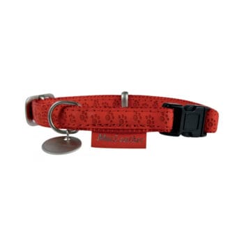 Czerwona obroża dla psa