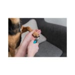 Trixie | Nożyczki do paznokci | 12cm - obrazek 2