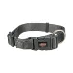 Szara obroża dla psa