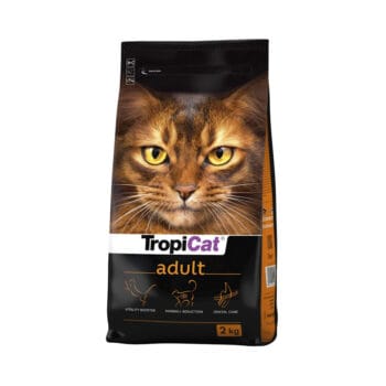 Karma sucha z kurczakiem dla kota dorosłego