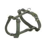 Zielone szelki dla psa małego i średniego