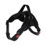 Czarne szelki M dla psa