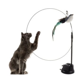 Zabawka dla kota z przyssawką