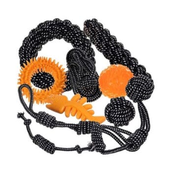 Zestaw zabawek dla psa