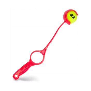 Wyrzutnia z piłką dla psa