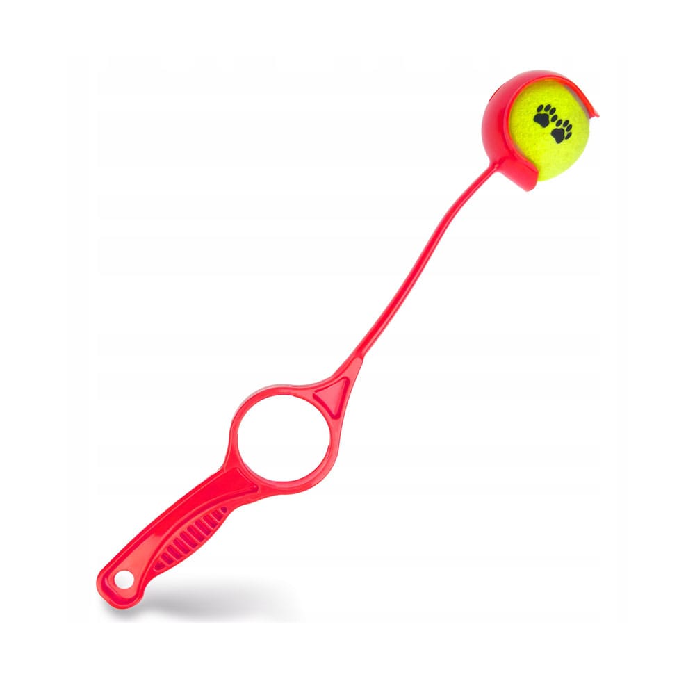 Wyrzutnia z piłką dla psa