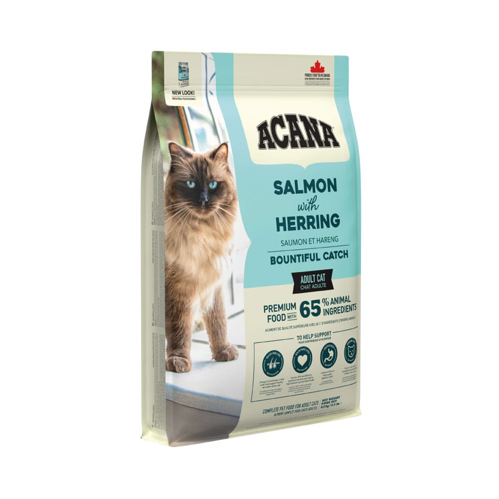 Karma sucha z rybą dla kota dorosłego