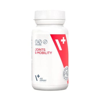 Tabletki na stawy dla psów i kotów