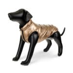 Barry King | Kurtka dla psa (czarno-brązowa) dwustronna M | 40cm - obrazek 2